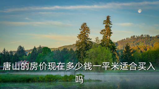 唐山101房價是多少,唐山房價火熱