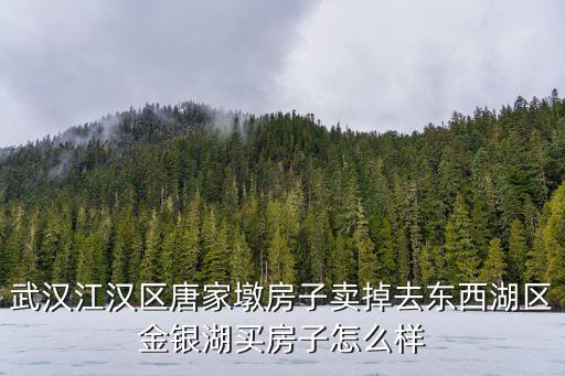武漢江漢區(qū)現(xiàn)在怎么樣,武漢這個(gè)城市怎么樣