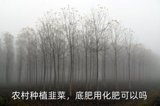農(nóng)村種植韭菜，底肥用化肥可以嗎