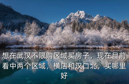 買武漢房子怎么選區(qū)域,想在武漢不限購(gòu)區(qū)域買房子