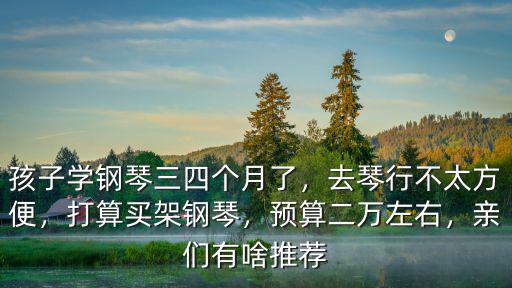 許昌去哪里買教學鋼琴多少錢,學習鋼琴大概要花多少錢
