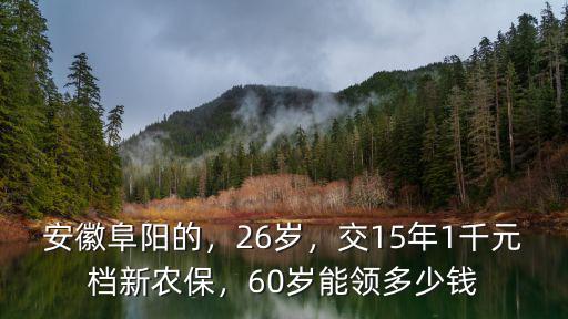 安徽阜陽的，26歲，交15年1千元檔新農保，60歲能領多少錢
