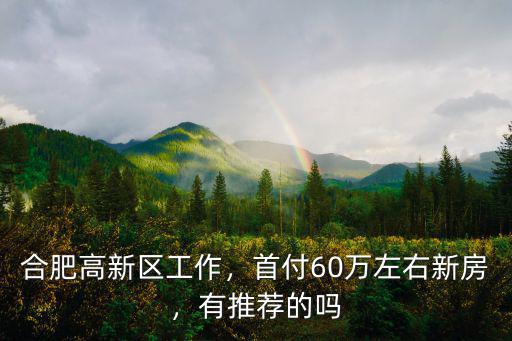 合肥高新區首付多少公里,合肥高新區工作