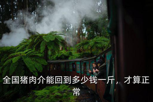 全國豬肉介能回到多少錢一斤，才算正常