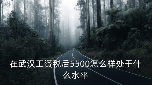 武漢振華工資怎么樣,在武漢打工生活怎么樣