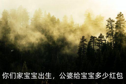 淮南生孩子給多少紅包,你們生孩子公婆都包多少紅包