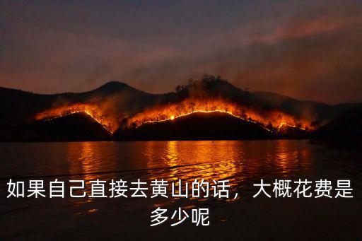 如果自己直接去黃山的話，大概花費是多少呢