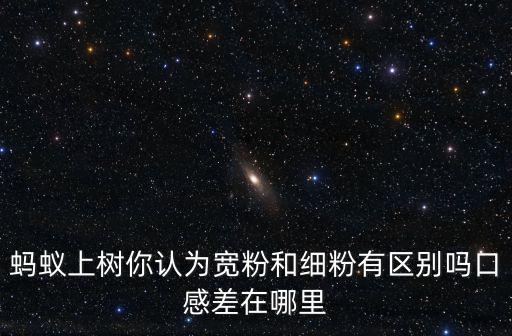 四川寬粉哪里最好吃,全國哪里的粉最好吃