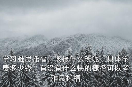 學(xué)習(xí)雅思托福，該報(bào)什么班呢，具體學(xué)費(fèi)多少錢，有沒(méi)有什么快的捷徑可以考雅思托福