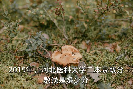 考河北醫(yī)科大學(xué)多少分上線,河北醫(yī)科大學(xué)