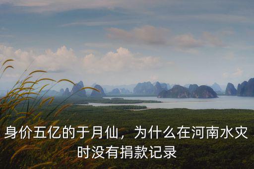 身價五億的于月仙，為什么在河南水災時沒有捐款記錄