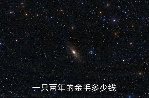 一只兩年的金毛多少錢