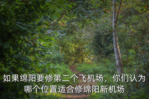 如果綿陽要修第二個飛機場，你們認為哪個位置適合修綿陽新機場