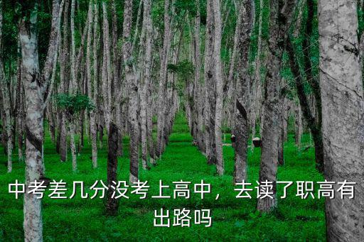 中考差幾分沒考上高中，去讀了職高有出路嗎