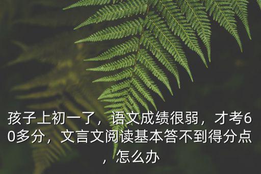 孩子上初一了，語文成績很弱，才考60多分，文言文閱讀基本答不到得分點(diǎn)，怎么辦