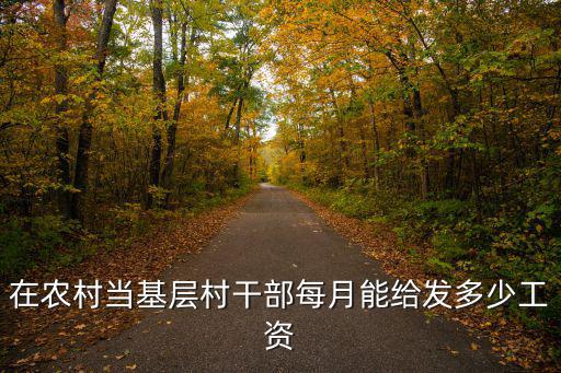 在農村當基層村干部每月能給發多少工資