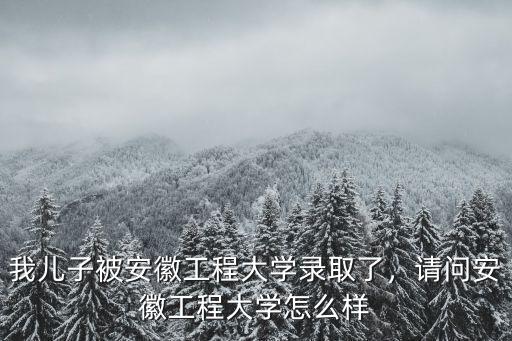 我兒子被安徽工程大學錄取了，請問安徽工程大學怎么樣