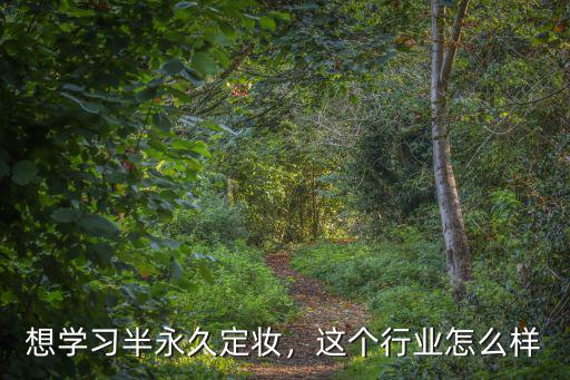 想學習半永久定妝，這個行業怎么樣