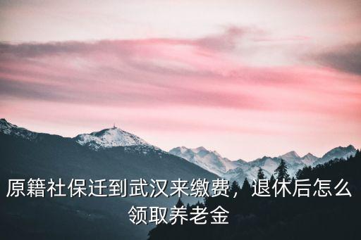 武漢社保交滿后怎么辦理退休,退休后怎么領取養老金