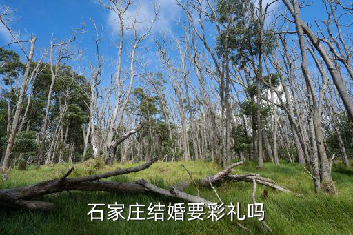 石家莊鹿泉彩禮一般給多少,石家莊井陘彩禮多少錢
