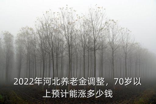 2022年河北養老金調整，70歲以上預計能漲多少錢