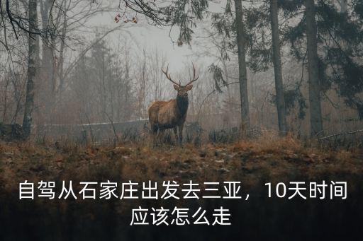 自駕從石家莊出發去三亞，10天時間應該怎么走