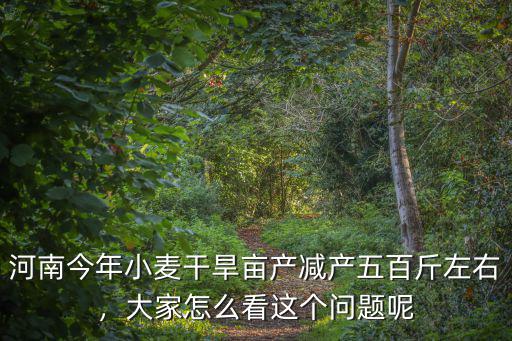 河南今年小麥干旱畝產減產五百斤左右，大家怎么看這個問題呢