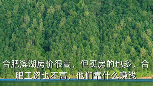 合肥濱湖溫泉投資多少錢,合肥房?jī)r(jià)會(huì)多少錢一平