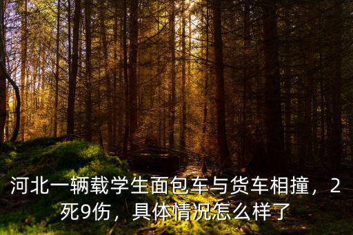 湖北學生8死2傷怎么回事,致8名學生死亡