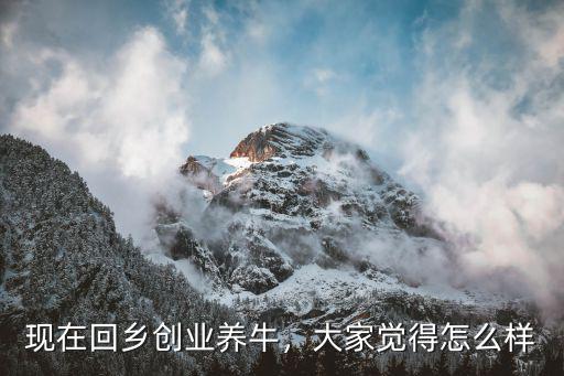 現在回鄉創業養牛，大家覺得怎么樣