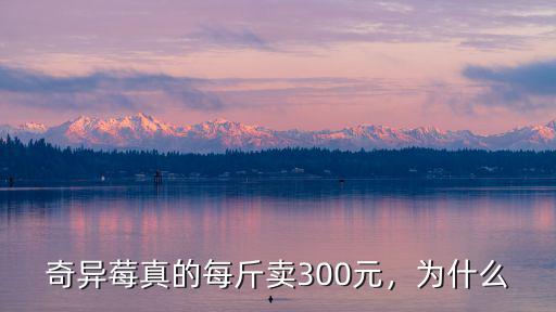 黃山奇異莓多少錢一斤廠家直銷,黃山門票多少錢