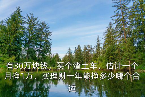 有30萬塊錢，買個渣土車，估計一個月掙1萬，買理財一年能掙多少哪個合適