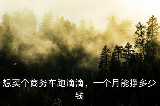 淮北開滴滴一個月多少錢,一個月能掙多少錢