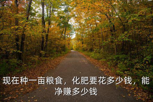 巴夫特復合肥多少錢,化肥要花多少錢