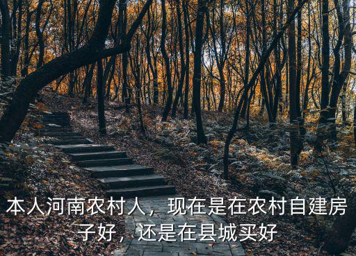 本人河南農(nóng)村人，現(xiàn)在是在農(nóng)村自建房子好，還是在縣城買好