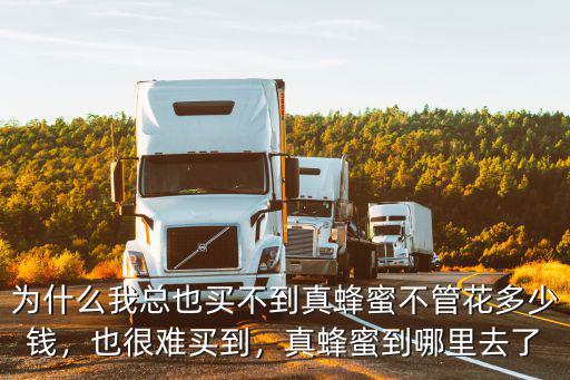 為什么我總也買不到真蜂蜜不管花多少錢，也很難買到，真蜂蜜到哪里去了