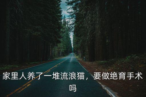 成都哪里可以給流浪貓做絕育手術,給貓咪做絕育手術