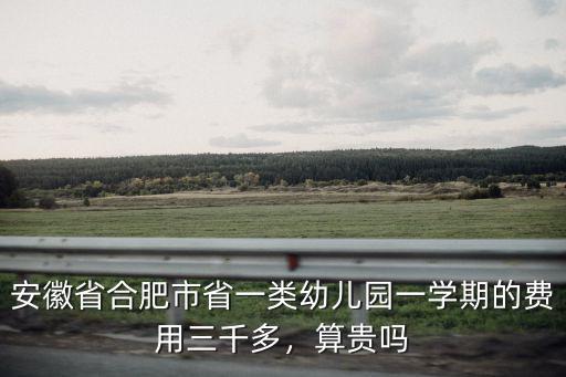 安徽省合肥市省一類幼兒園一學期的費用三千多，算貴嗎