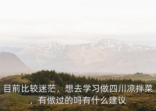 目前比較迷茫，想去學(xué)習(xí)做四川涼拌菜，有做過的嗎有什么建議