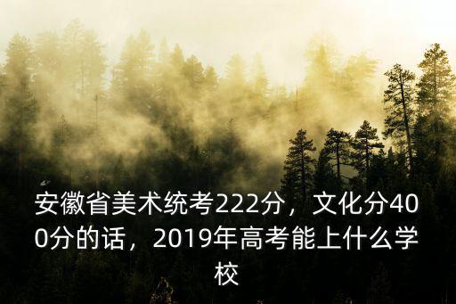 安徽省美術統(tǒng)考222分，文化分400分的話，2019年高考能上什么學校