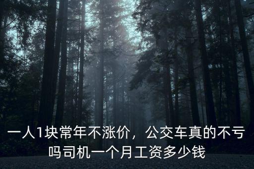 一人1塊常年不漲價，公交車真的不虧嗎司機一個月工資多少錢