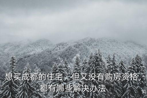 想買成都的住宅，但又沒有購房資格，都有哪些解決辦法