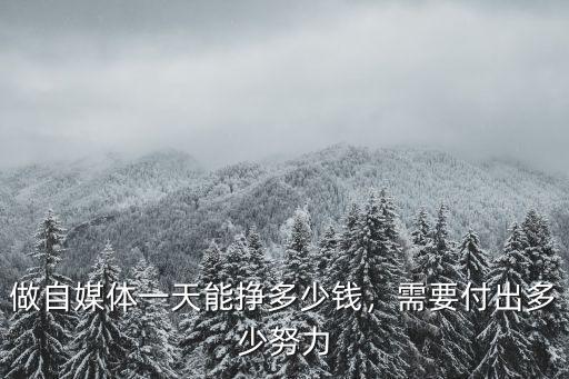 秦皇島媒體邀請多少錢,做自媒體一天能掙多少錢