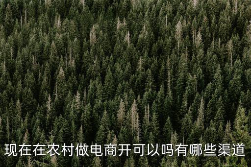 現在在農村做電商開可以嗎有哪些渠道