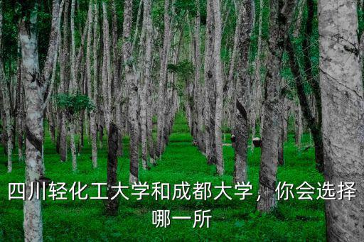 四川輕化工大學和成都大學，你會選擇哪一所