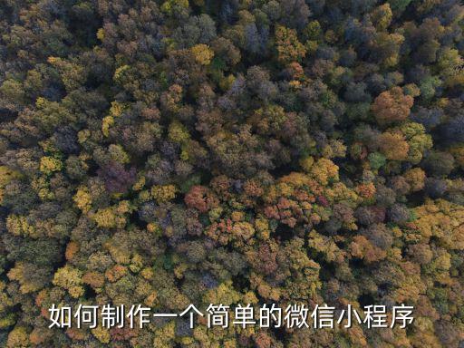 河南方城縣在哪里制作微信小程序,微信的小程序怎么制作