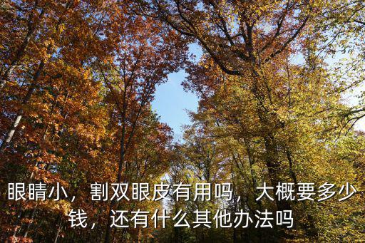 淮北割雙眼皮一般要多少錢,隆鼻加割雙眼皮大約要多少錢