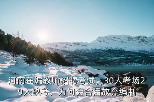 河南教資每年報考多少人,河南中小學教師工資有多少