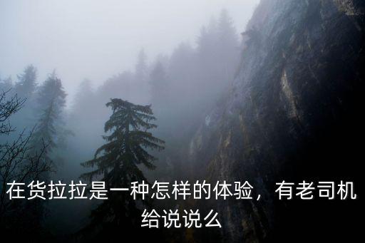 在成都哪里有貨拉拉,在貨拉拉是一種怎樣的體驗