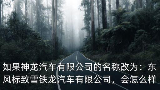 如果神龍汽車有限公司的名稱改為：東風標致雪鐵龍汽車有限公司，會怎么樣